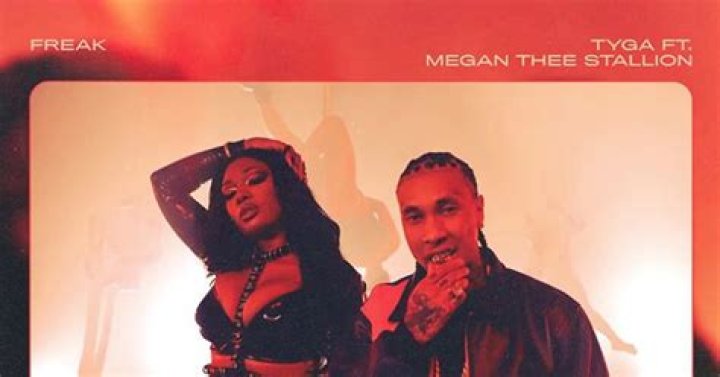 Megan Thee Stallion & Tyga Deliver Audio Porn On "Freak"