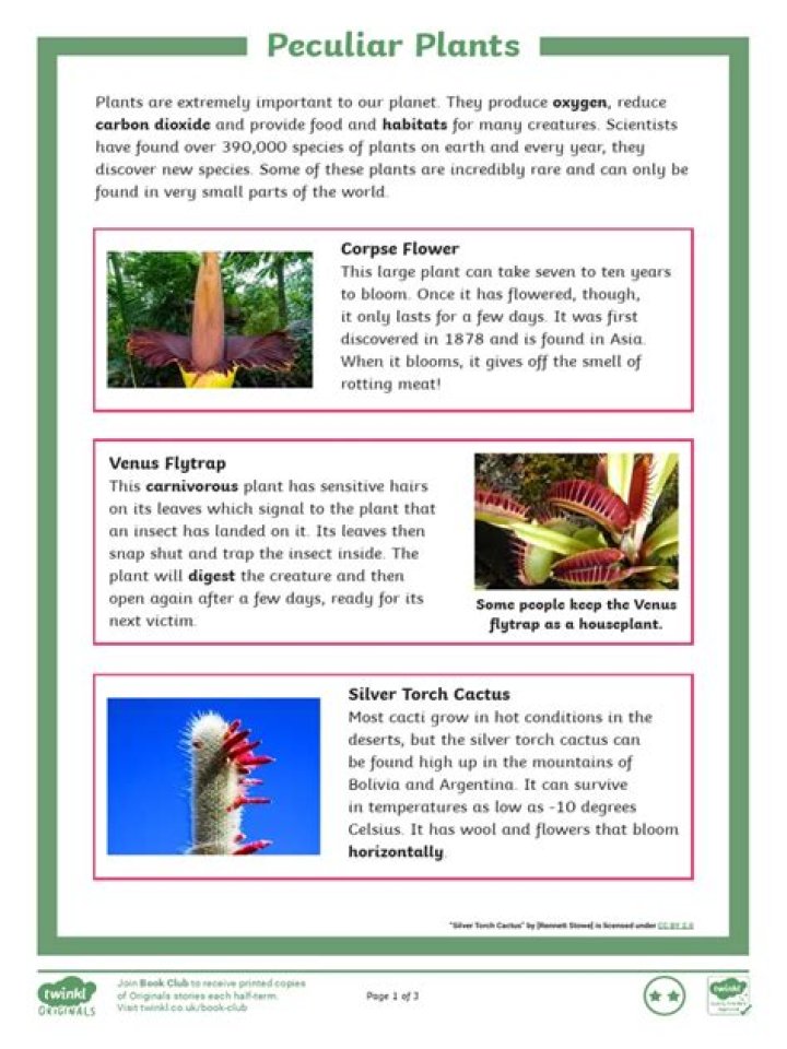 Nature's Five Most Peculiar Plants