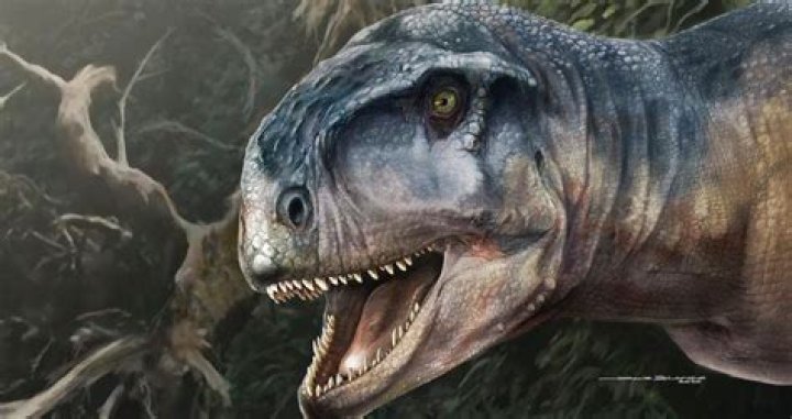 New T. Rex-Like Dinosaur With Bizarre Skull Unearthed In Argentina