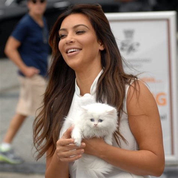 North West Names Her Stuffed Kitty After Kim Kardashian’s Dead Cat Mercy