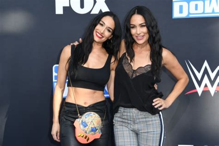 OMG! Pregnant Twins Nikki and Brie Bella Discover They Conceived at the Same Place