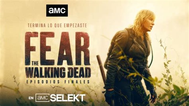 ¿Por qué no puedo encontrar The Walking Dead en Netflix? – Celebrity.fm