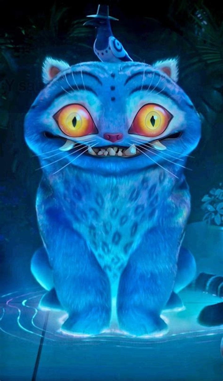 ¿Qué significa el patrón del gato tonquinés? – Celebrity.fm