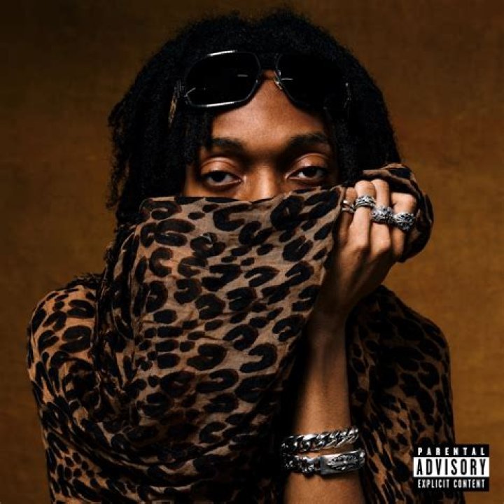 ¿Quién es Lil perfecta?