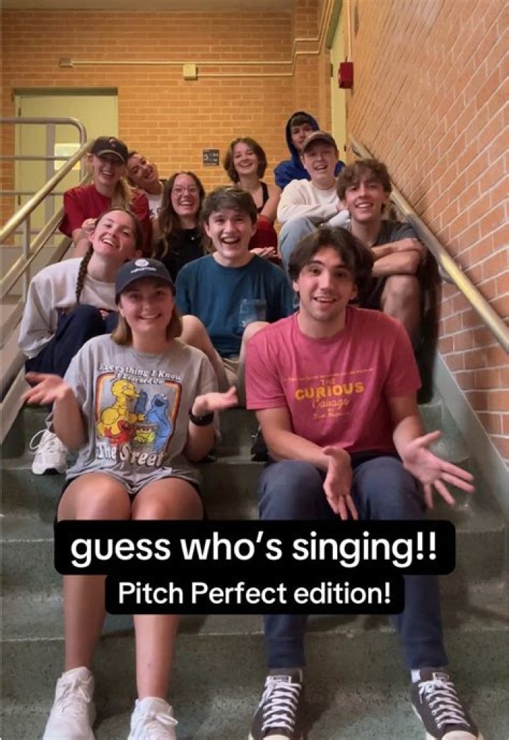 ¿Realmente están cantando en Pitch Perfect?