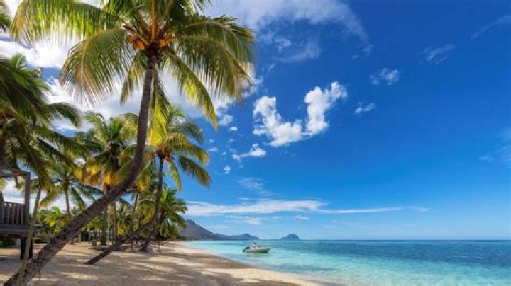 Remy Ma Says She Isn’t Proud Of “shETHER” Diss