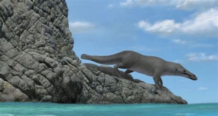 Scientists Discover Remains Of Ancient Four-Legged Whale In Peru