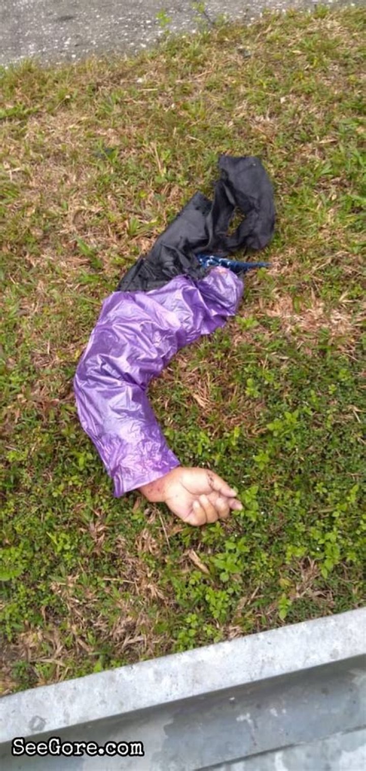 Discovering Seegore.com: Your Ultimate Guide to Online Entertainment