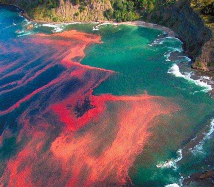 Seven Bizarre And Beautiful Natural Phenomena