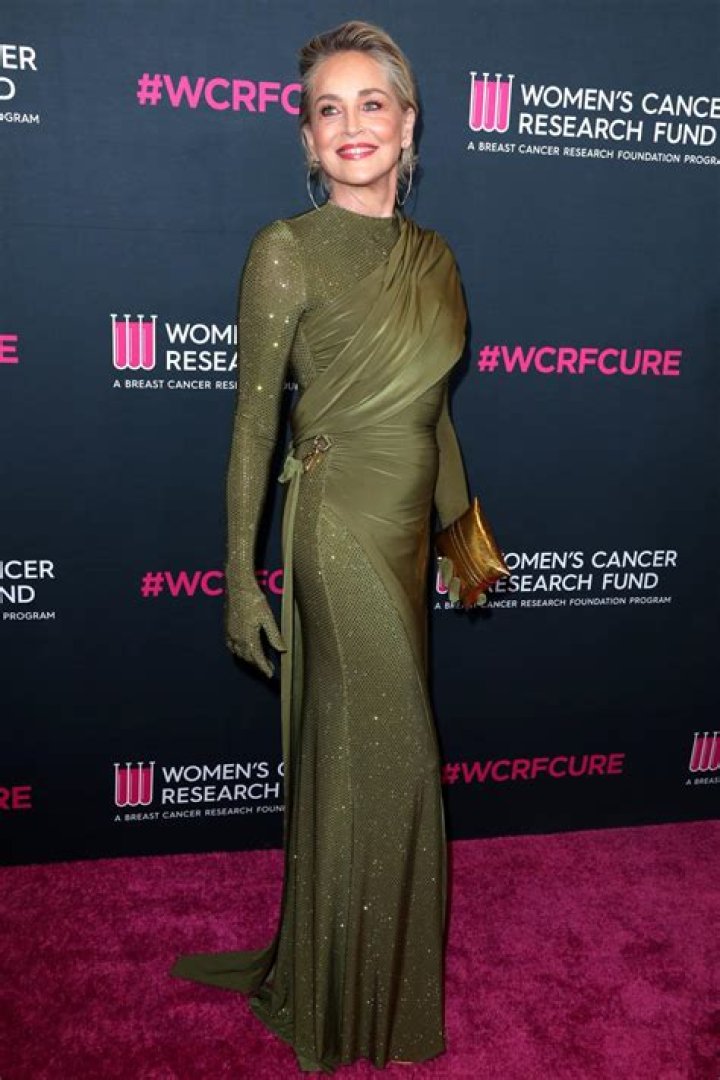 Sharon Stone Has a Basic Instinct When It Comes to Money: Find Out Her Staggering Net Worth