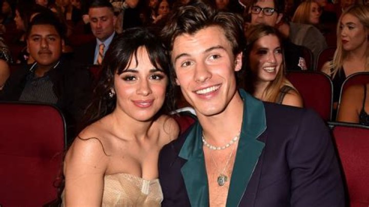 Shawn Mendes and Camila Cabello Go On a Cute Sushi Date and Continue to Be Adorable