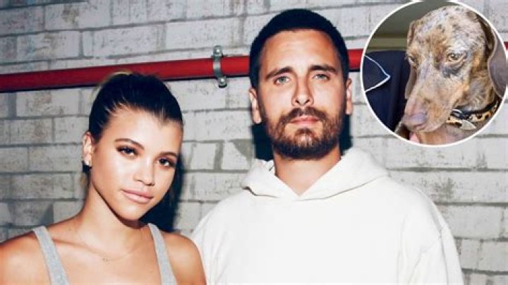 Sofia Richie Posts a Sweet Selfie With Her and Ex Scott Disick’s Dog Following Split: ‘Madly in Love’