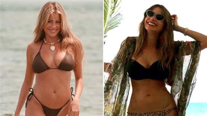 Sofia Vergara Always Looks Amazing in a Bikini! See Her Sexiest Swimsuit Photos Over the Years