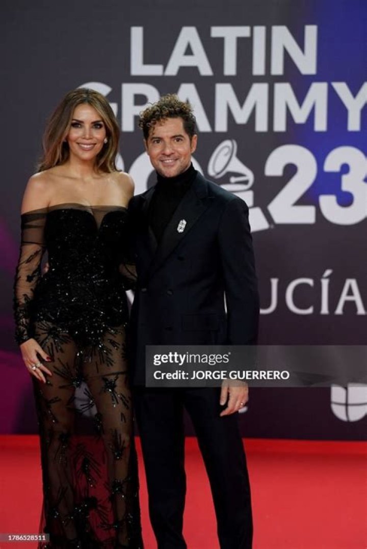 Spanish Singer David Bisbal Is Engaged to Longtime Girlfriend Rosanna Zanetti!