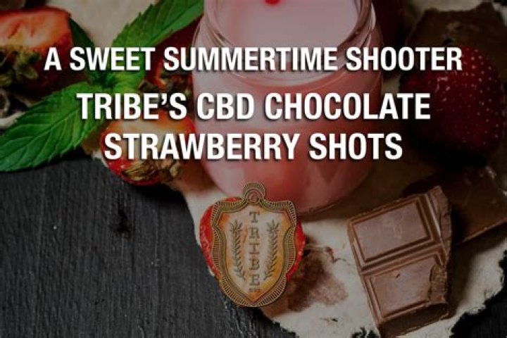Sponsored ContentA Sweet Summertime Shooter: Tribe’s CBD Chocolate Strawberry Shots