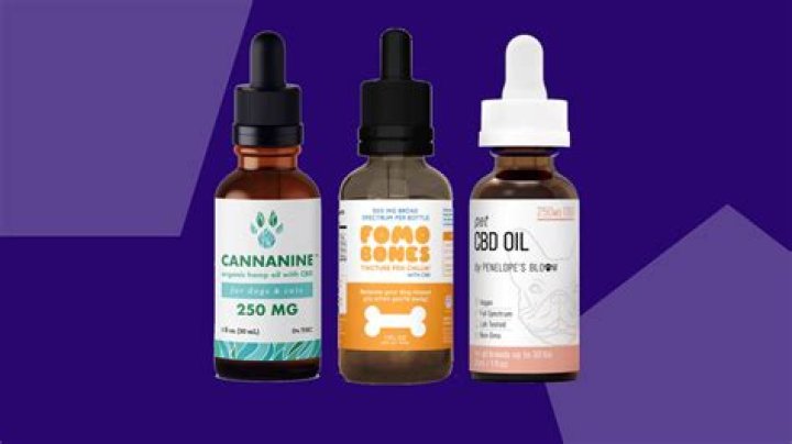 Sponsored ContentReal Tested CBD Reviews: Top 5 CBD Oils for Pets