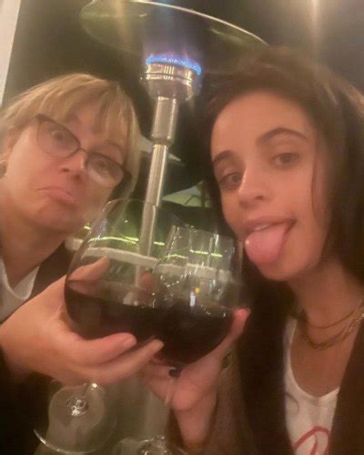 Supportive Mama! Camila Cabello Drinks Wine With Mom Following Shawn Mendes Split: ‘Big Fat Dump’ 