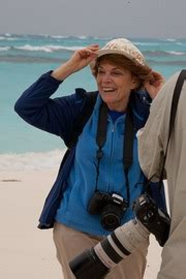 Sylvia Earle (Oceanographer) - Age, Birthday, Bio, Facts, Family, Net Worth, Height & More