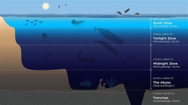 The Depth Of The Ocean In Perspective