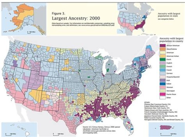 The Diverse Ancestry Of The United States