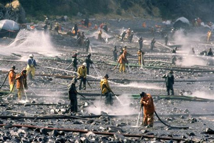 The Exxon Valdez Oil Spill In 33 Devastating Photos