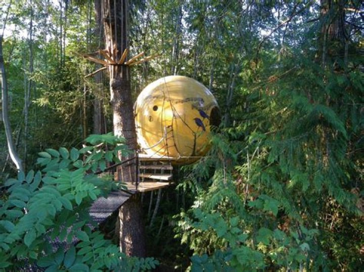 The Free Spirit Spheres Of Vancouver Island