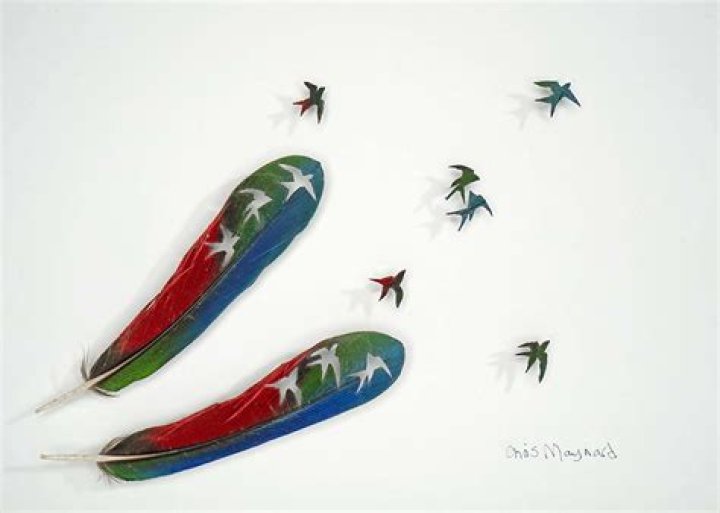 The Incredibly Intricate Feather Art Shadowboxes Of Chris Maynard