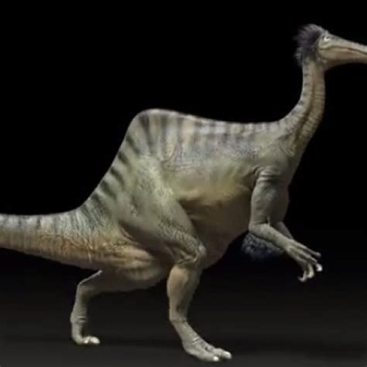 The Six Weirdest Dinosaurs To Actually Exist