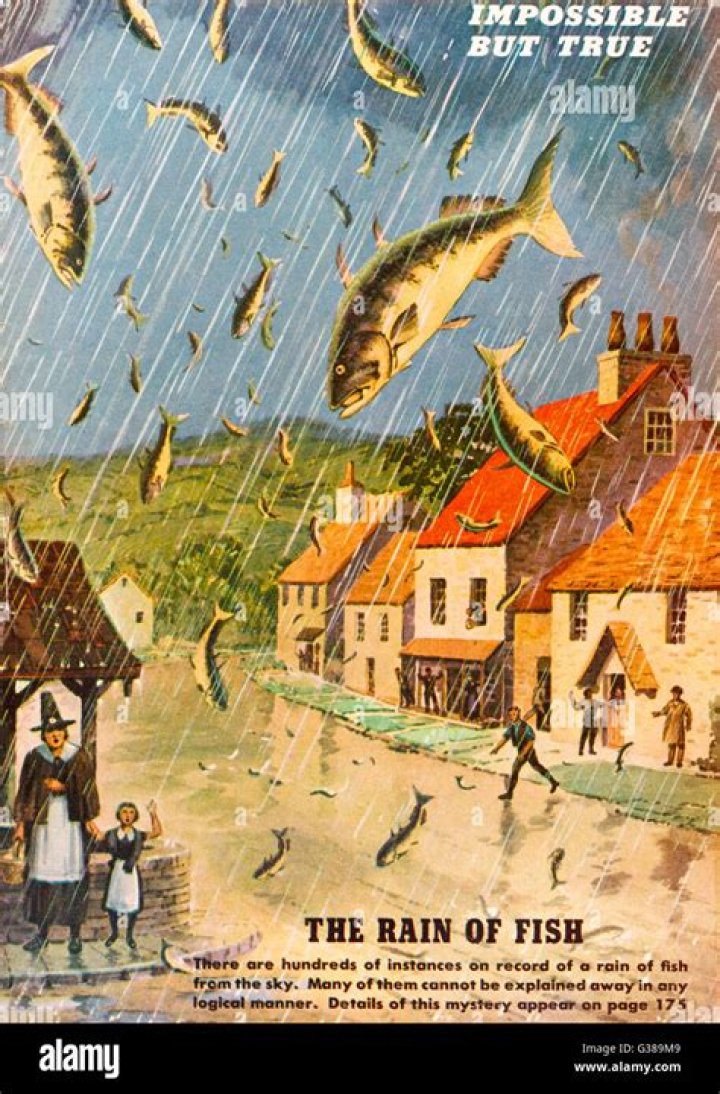 The Strange Phenomenon Of Honduras Fish Rain