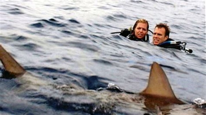 The Tragic Story Of Tom And Eileen Lonergan That Inspired 'Open Water'