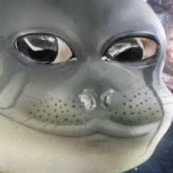 TheRussianBadger (YouTube Star) - Age, Birthday, Bio, Facts, Family, Net Worth, Height & More