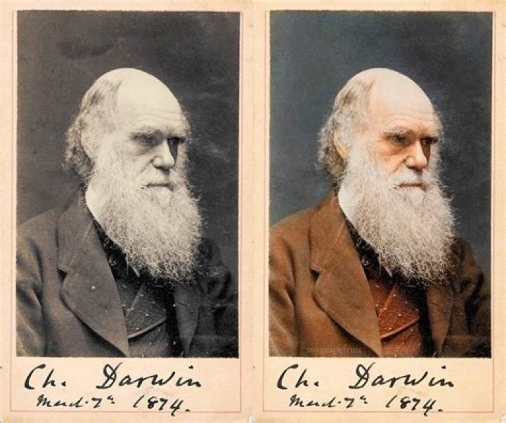 These Incredibly-Edited Photos Bring Us History In Color