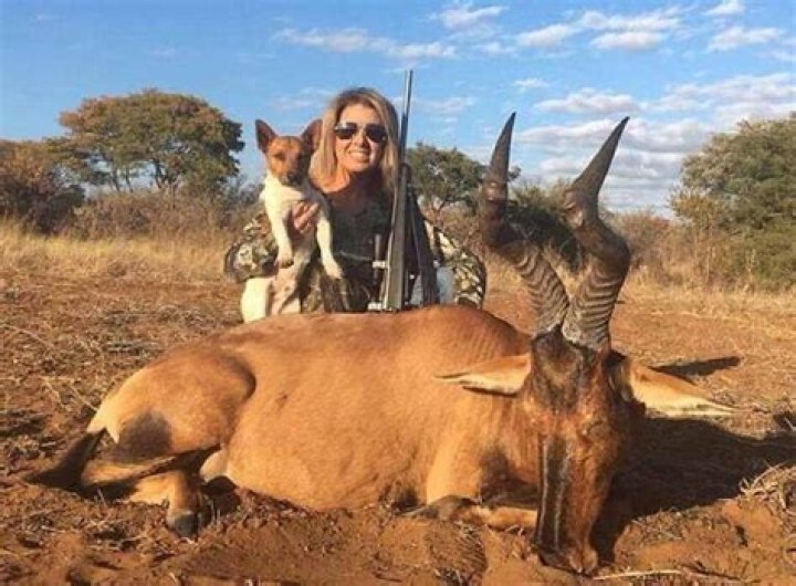 Trophy Hunter Killed Rare Black Giraffe, Turned It Into Throw Pillows