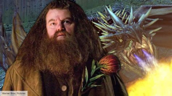 What are the 4 dragons in Harry Potter? – Celebrity.fm – #1 Official Stars, Business & People Network, Wiki, Success story, Biography & Quotes