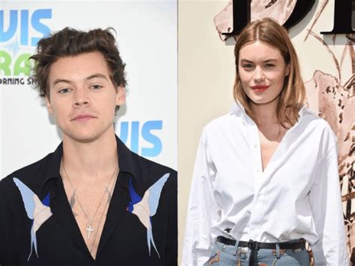 What did Camille Rowe do to Harry Styles? – Celebrity.fm – #1 Official Stars, Business & People Network, Wiki, Success story, Biography & Quotes