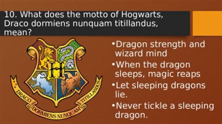 What does Draco Dormiens Nunquam Titillandus mean in Latin?