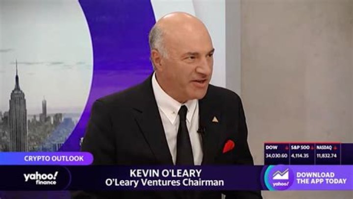 What does Kevin O’Leary own? – Celebrity.fm – #1 Official Stars, Business & People Network, Wiki, Success story, Biography & Quotes