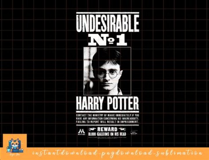 What does Undesirable No. 1 mean in Harry Potter?