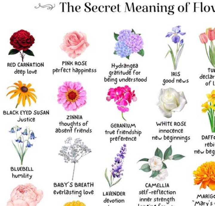 What flower symbolizes insanity? – Celebrity.fm – #1 Official Stars, Business & People Network, Wiki, Success story, Biography & Quotes