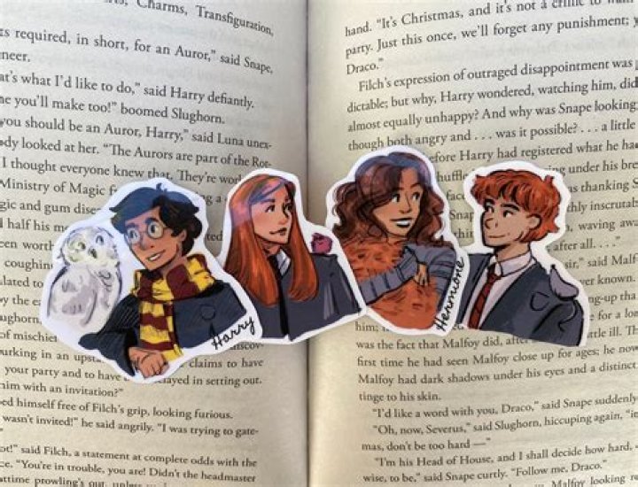 What is Ginny’s pet in Half Blood Prince?