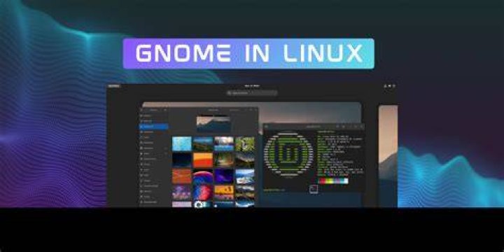 What is gnome in Harry Potter? – Celebrity.fm – #1 Official Stars, Business & People Network, Wiki, Success story, Biography & Quotes