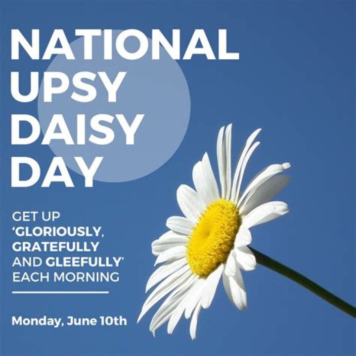 What is national Upsy Daisy Day? – Celebrity.fm – #1 Official Stars, Business & People Network, Wiki, Success story, Biography & Quotes
