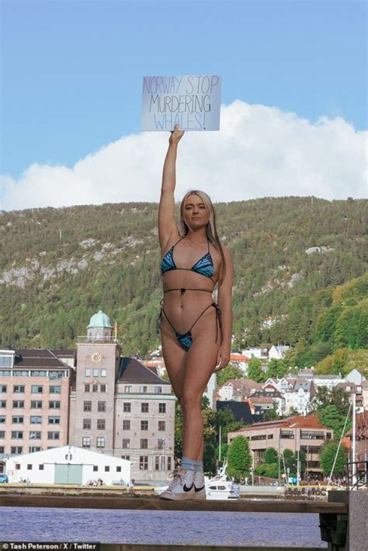 Who is Tash Peterson 'V-gan Booty'? Wiki, Biography, Net Worth, Age, Boyfriend, Family, Education & More