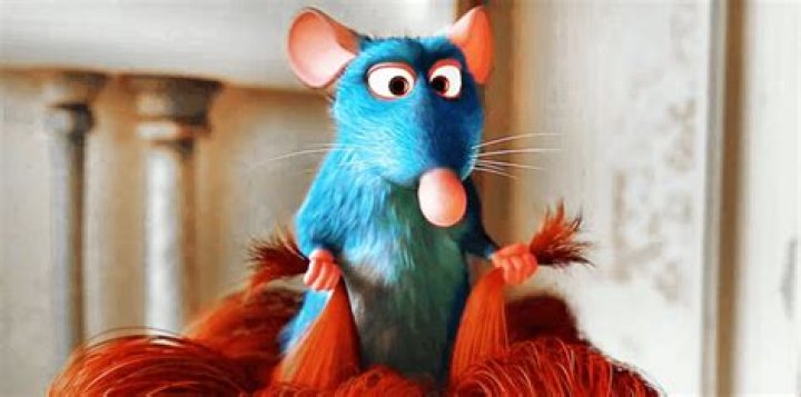 Who was Renata linguini?