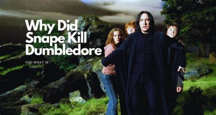 Why did Snape had to kill Dumbledore? – Celebrity.fm – #1 Official Stars, Business & People Network, Wiki, Success story, Biography & Quotes
