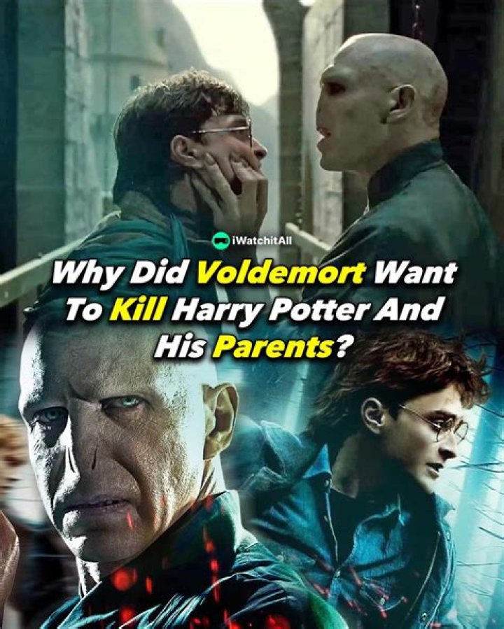 Why didn’t the Elder Wand belong to Voldemort after he kills Harry?