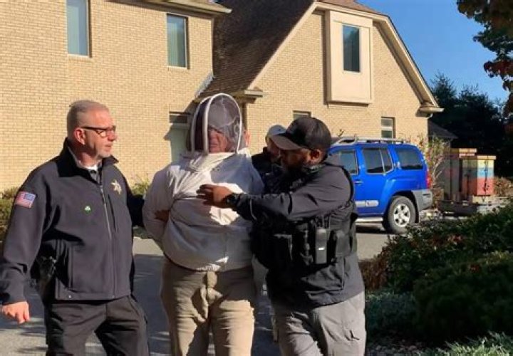 Woman Accused Of Using Bees To Attack Police During Eviction